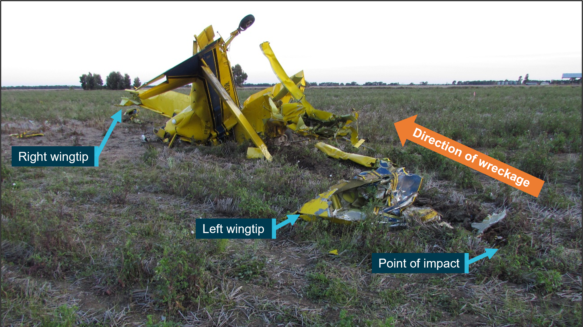 Large bird carcass found at Chinchilla aerial application aircraft accident site