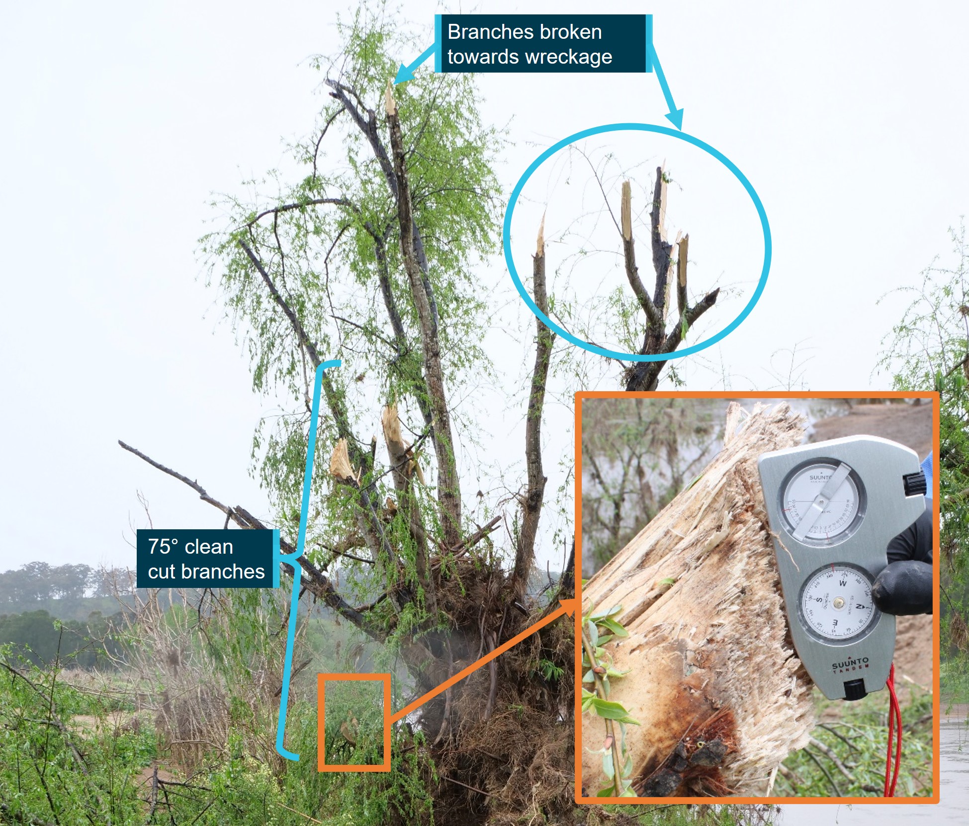 Figure&nbsp;6: Initial impact tree