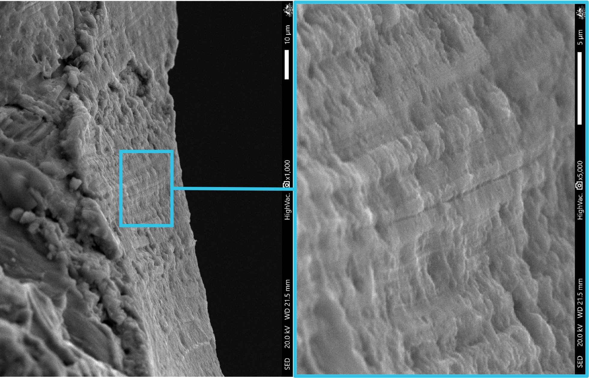 Figure&nbsp;18: Discrete area of striations identified on the fracture surface 