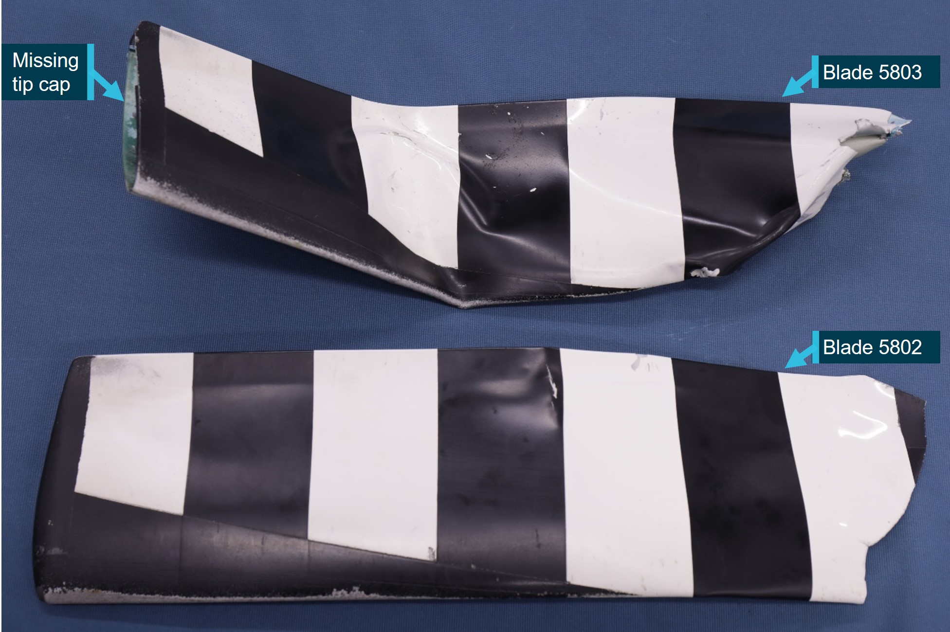 Figure&nbsp;6: Tail rotor blades SN 5802 and SN 5803