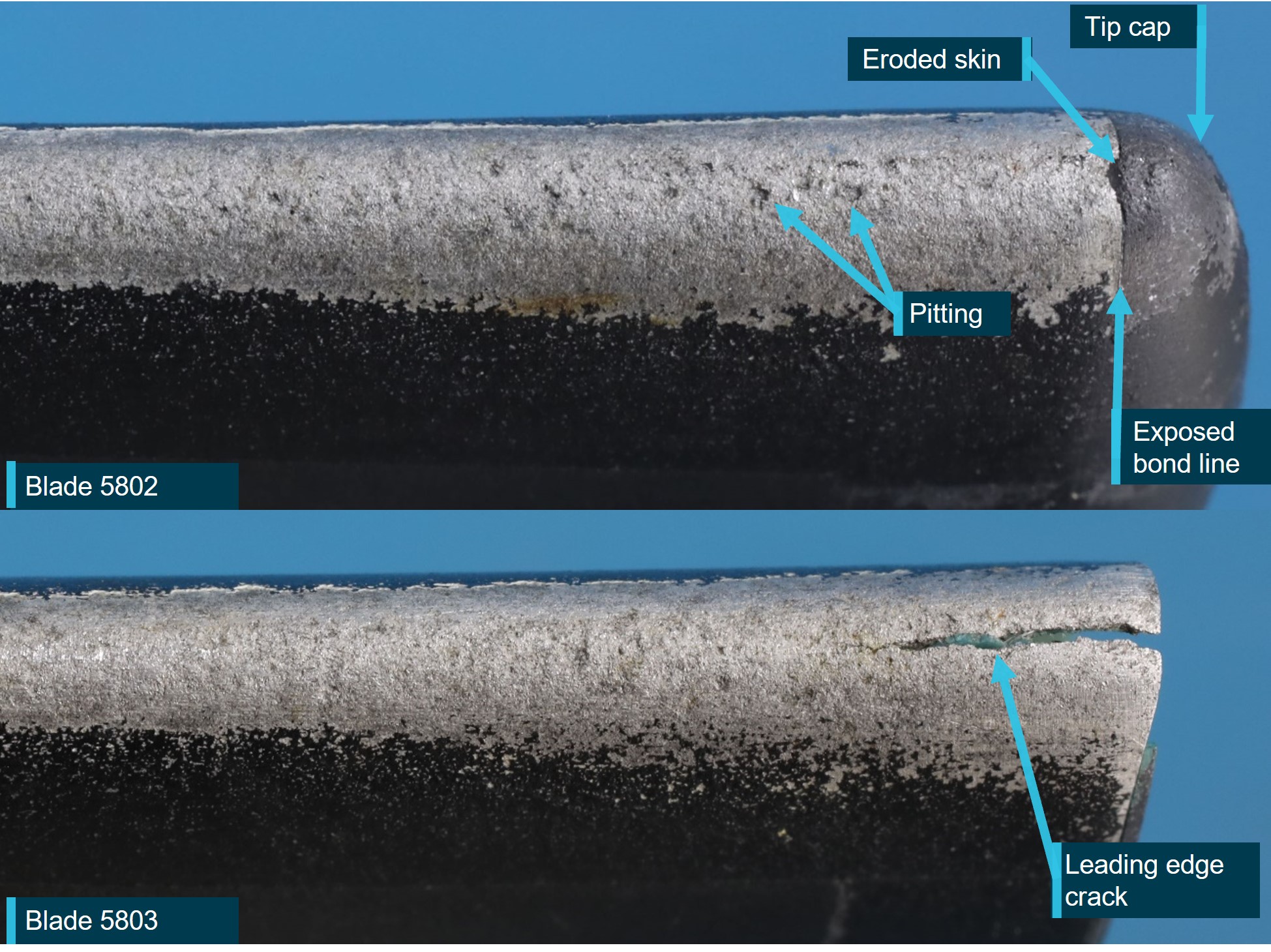 Figure&nbsp;9: Tail rotor blade leading edges, showing paint loss, erosion and skin cracking 