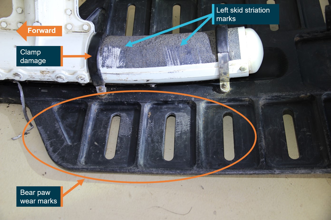 Figure 8: Left rear skid showing corresponding skid and bear paw damage