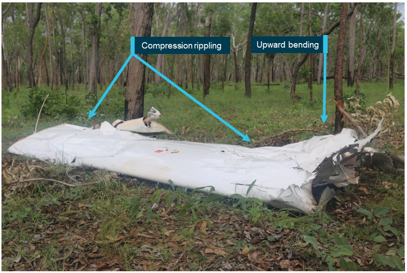 Figure&nbsp;10: The right wing showed compression rippling of the upper skin surface and permanent deformation from exposure to upward bending 