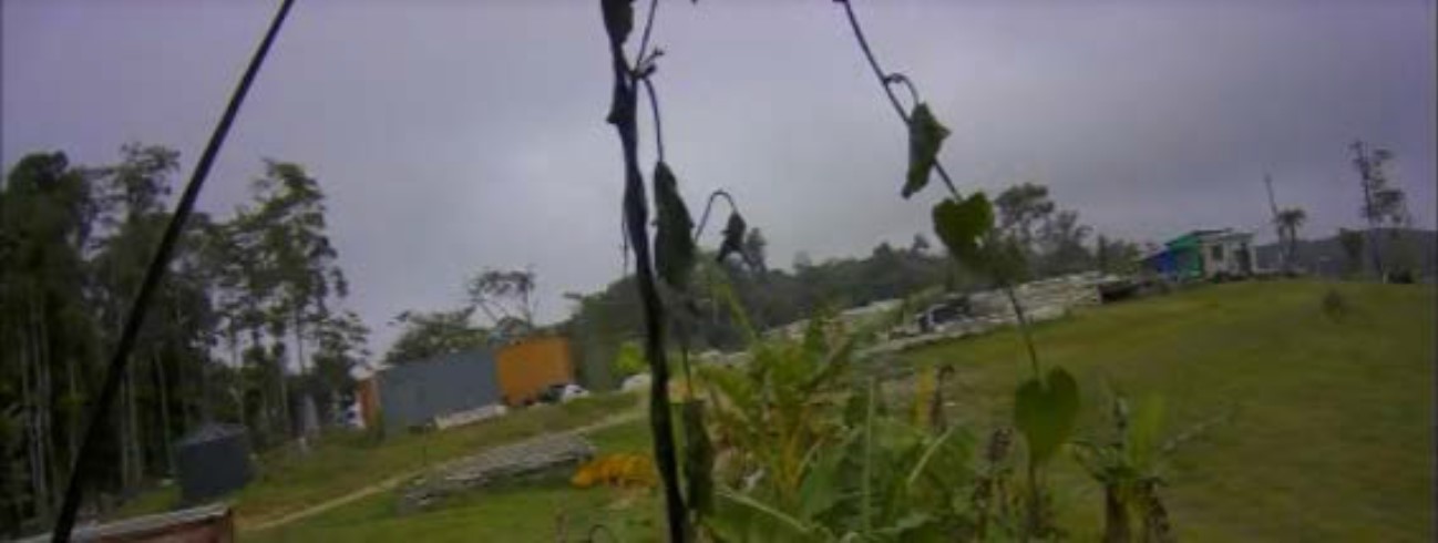 Figure&nbsp;12: Closed circuit footage from Dalrymple Heights