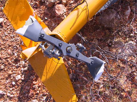aair200401917_002.jpg