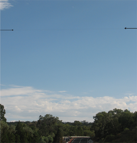 aair200600523_001.jpg