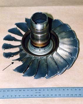 tr200102263_001.jpg