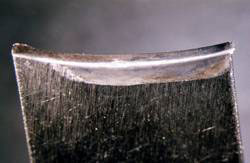 tr200105494_004.jpg