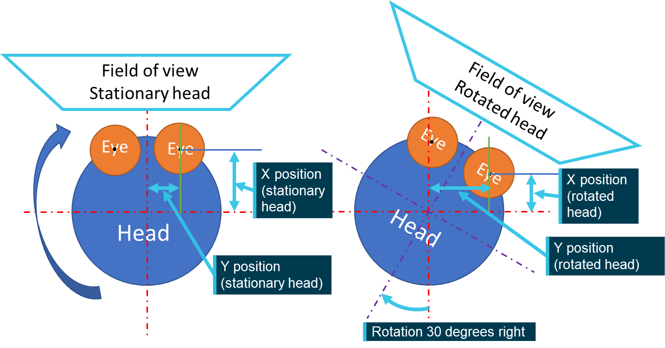 Figure&nbsp;57: Example of eye position displacement due to a head rotation (top down view)