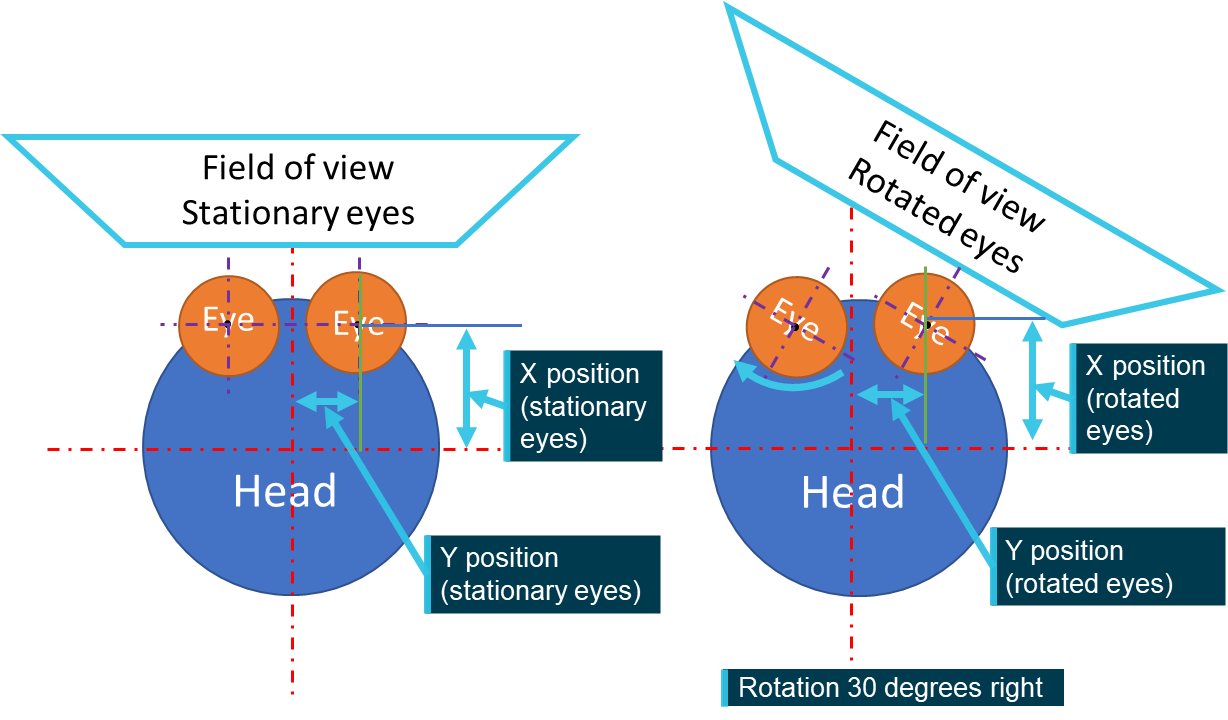 Figure&nbsp;58: Field of view change due to eye rotation (top down view)