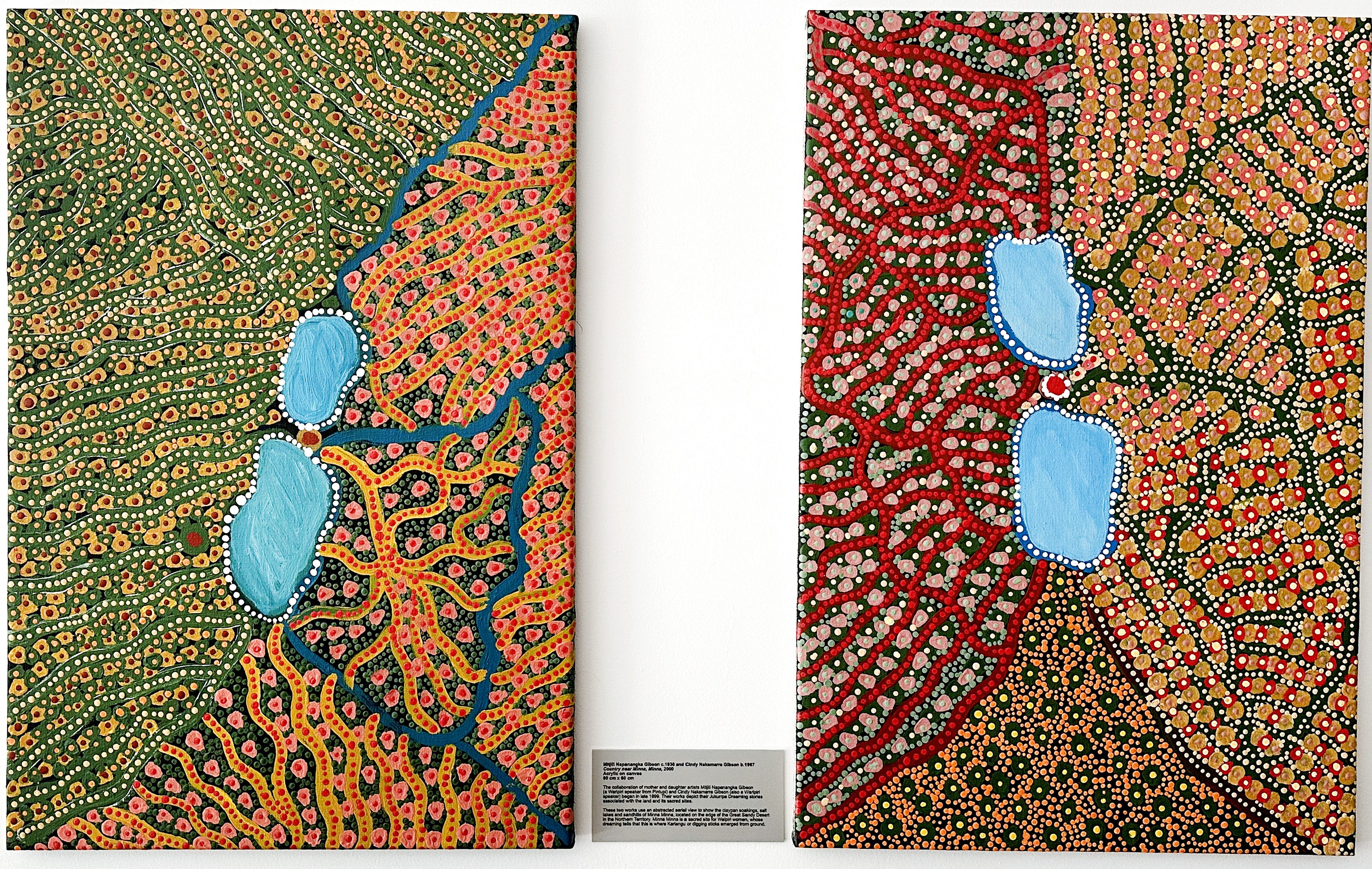 Country near Minna, Minna, 2000 by Mitjili Napanangka Gibson c.1930 and Cindy Nakamarra Gibson b.1967