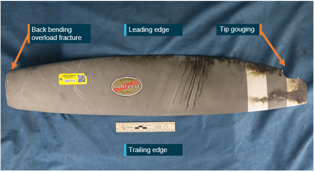 Image of third propeller blade that had separated from the hub showing tip gouging and back bending overload fracture at the base of the blade. 