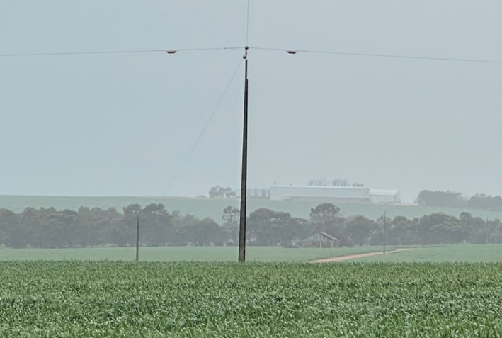 19kV Single wire earth return powerline 