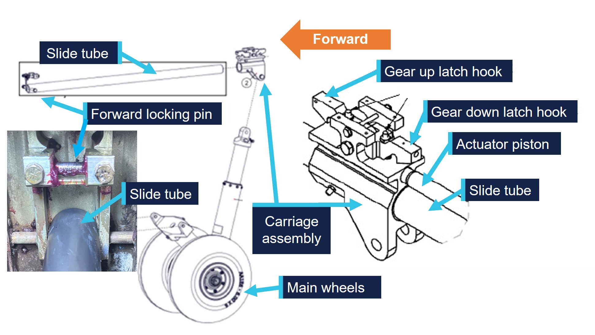 Drawing of main gear assembly showing component locations.