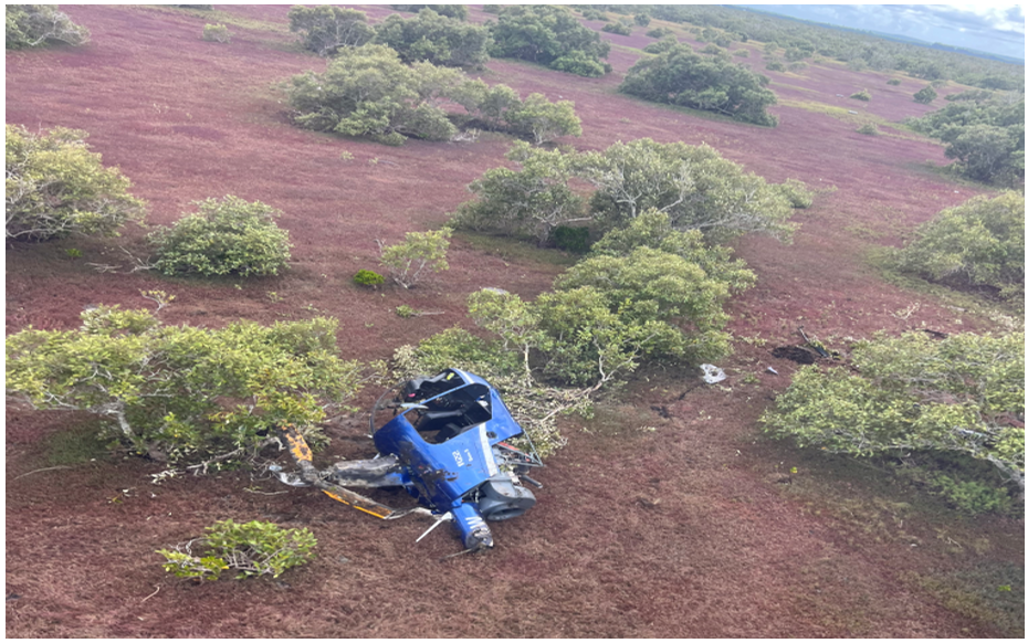 A helicopter that has crashed into a mangrove swamp