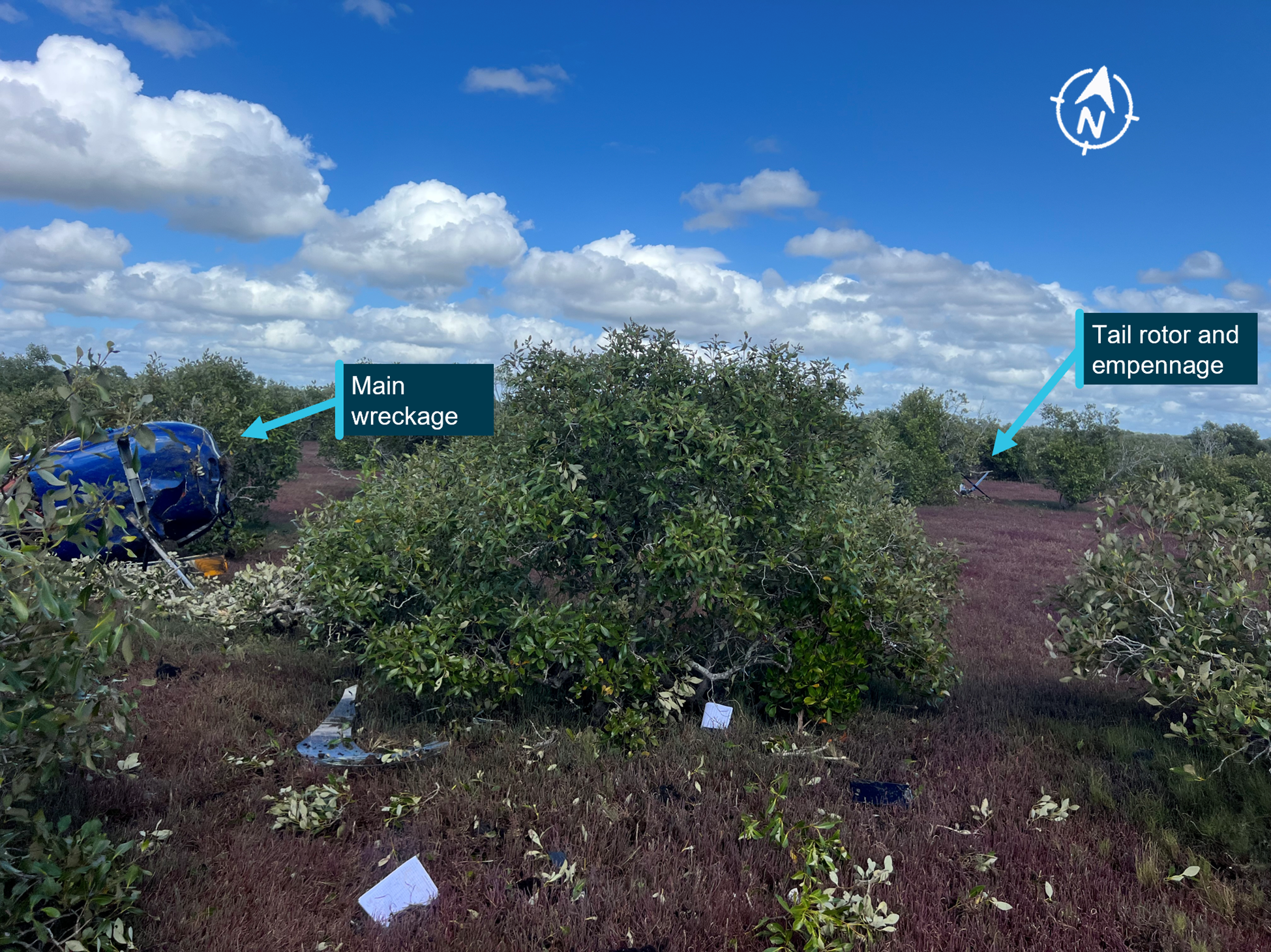 Wreckage of empennage and main cabin of helicopter in a mangrove swamp