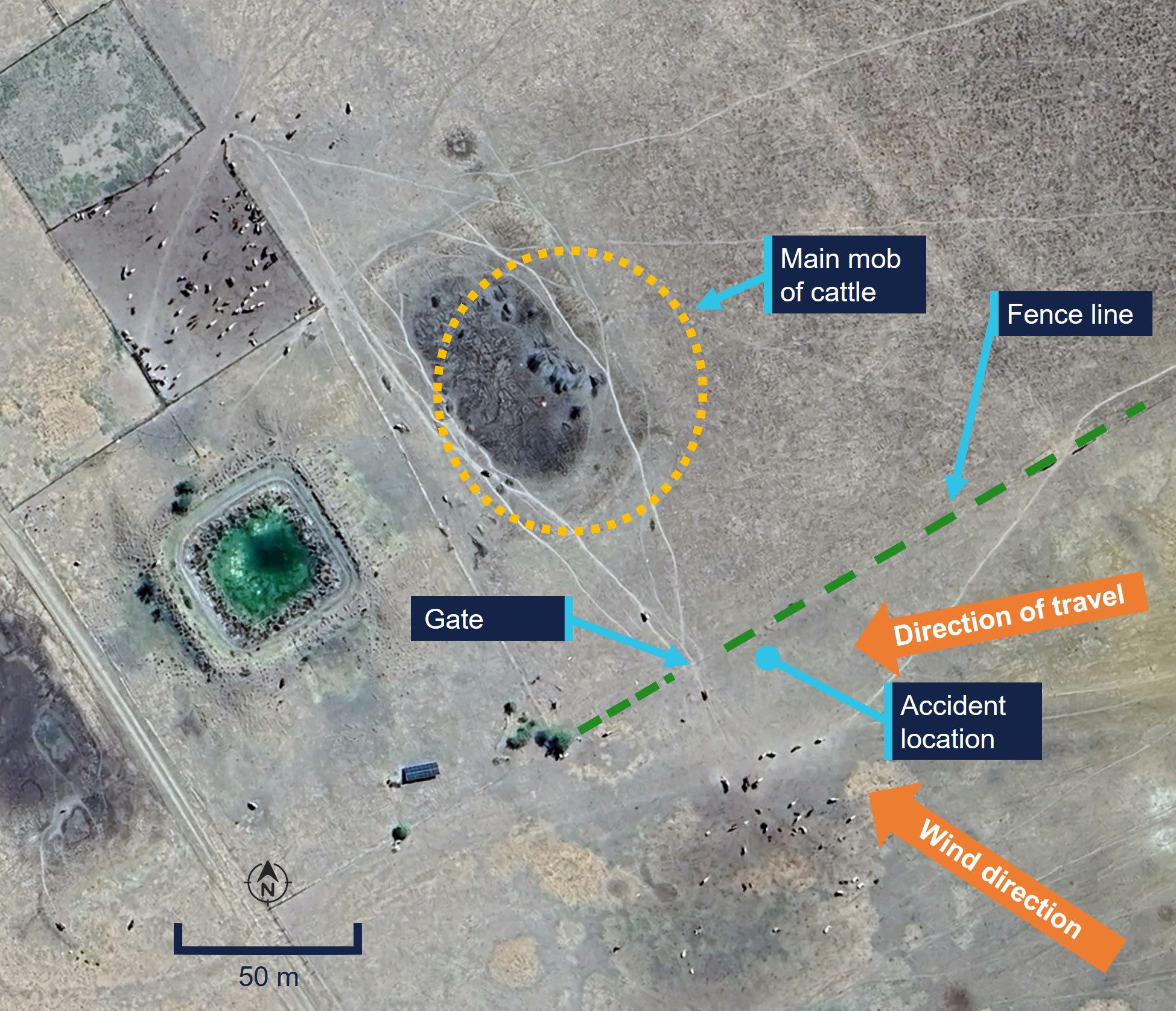 Google Earth image indicating the location of the main mob of cattle, fence line, gate, wind direction and and accident location of VH-HGE