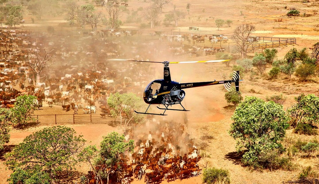 The incident aircraft.