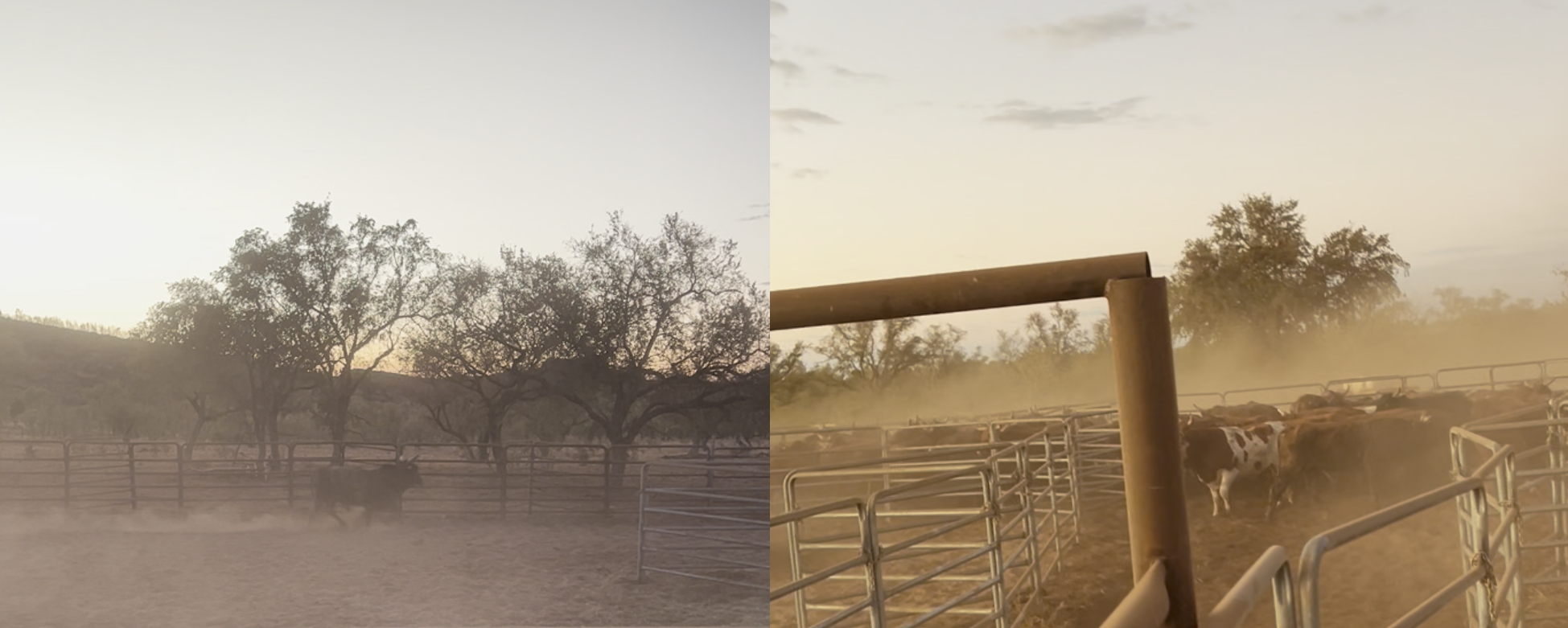 The image contains two images taken from the footage filmed at the time of the accident. They show the ambient lighting conditions and the amount of detail visible.