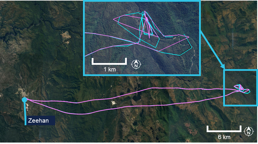 Google Earth image indicating the flight path data recorded by TracPlus overlaid with data from FlightAware. 