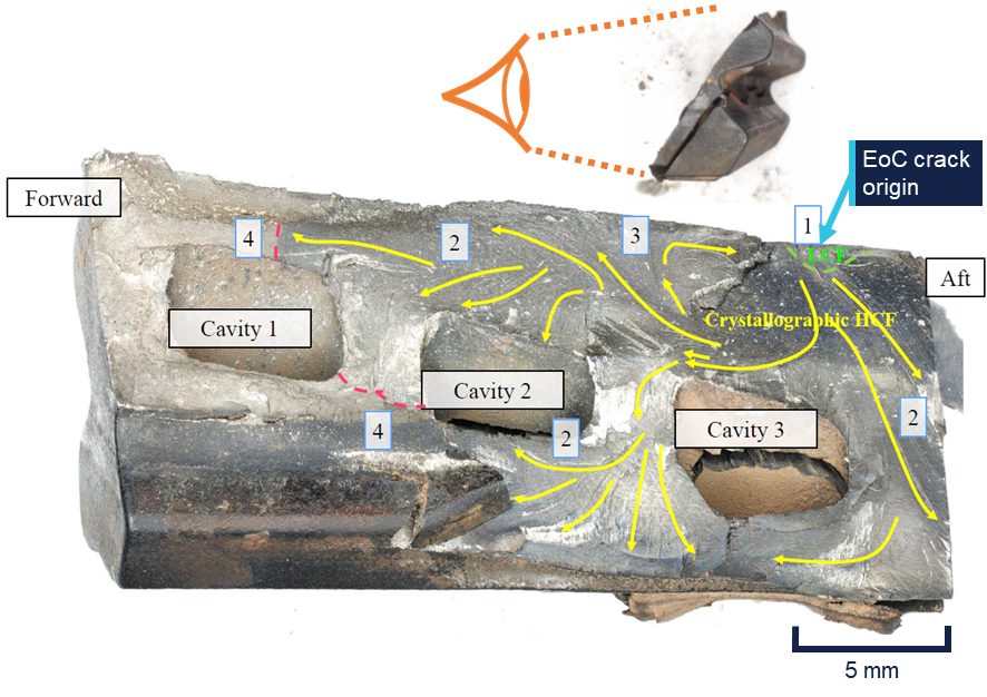 Concave view of the edge-of-contact fracture surface