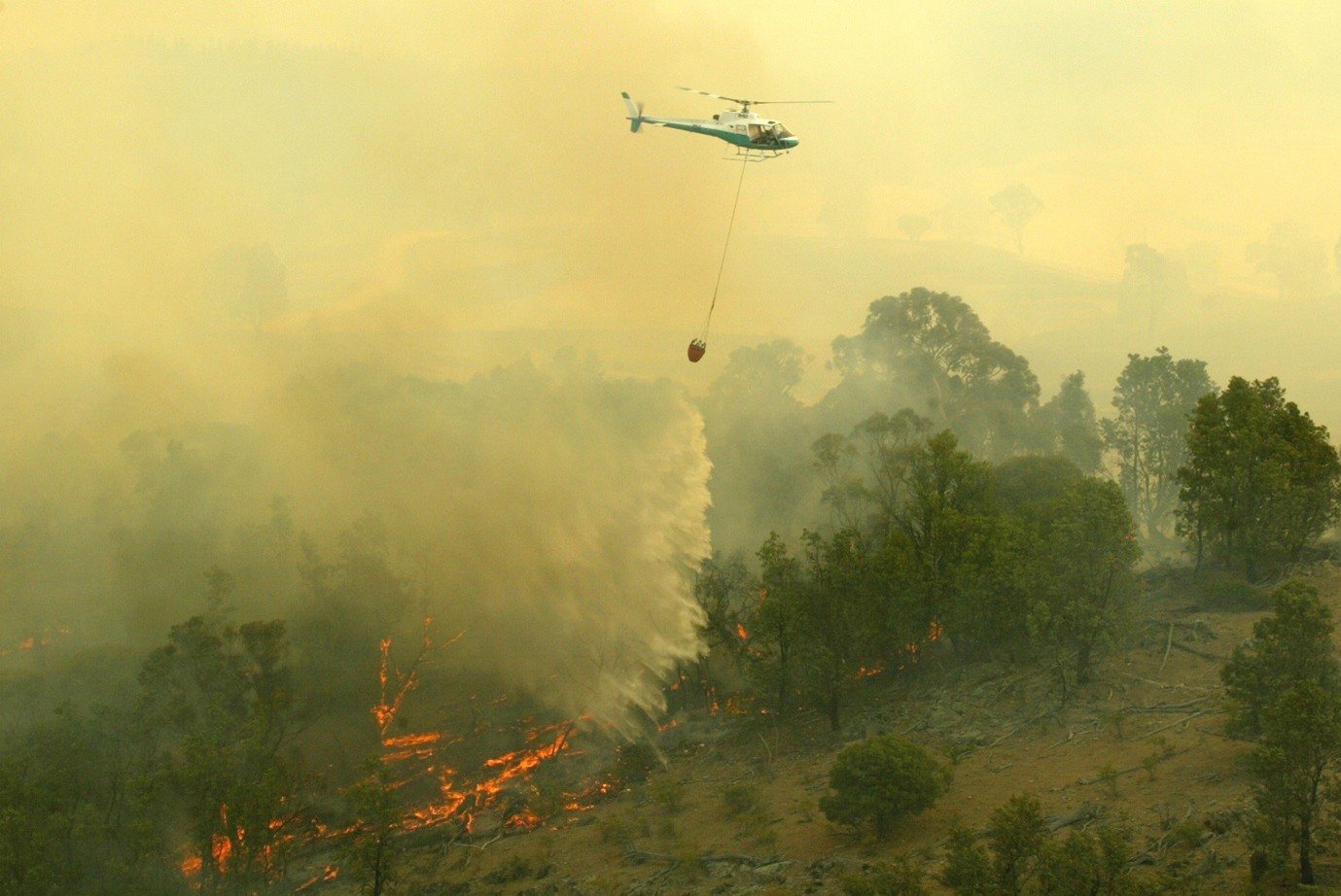 An aerial firefighting helicopter dropping water on a bushfire.