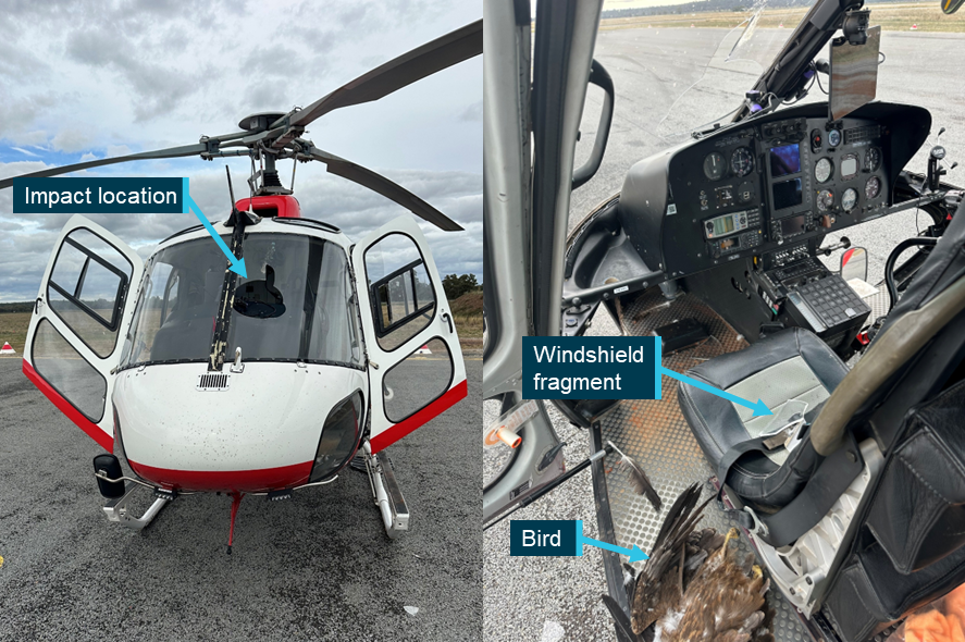 Photographs showing exterior (L) and interior (R) damage sustained