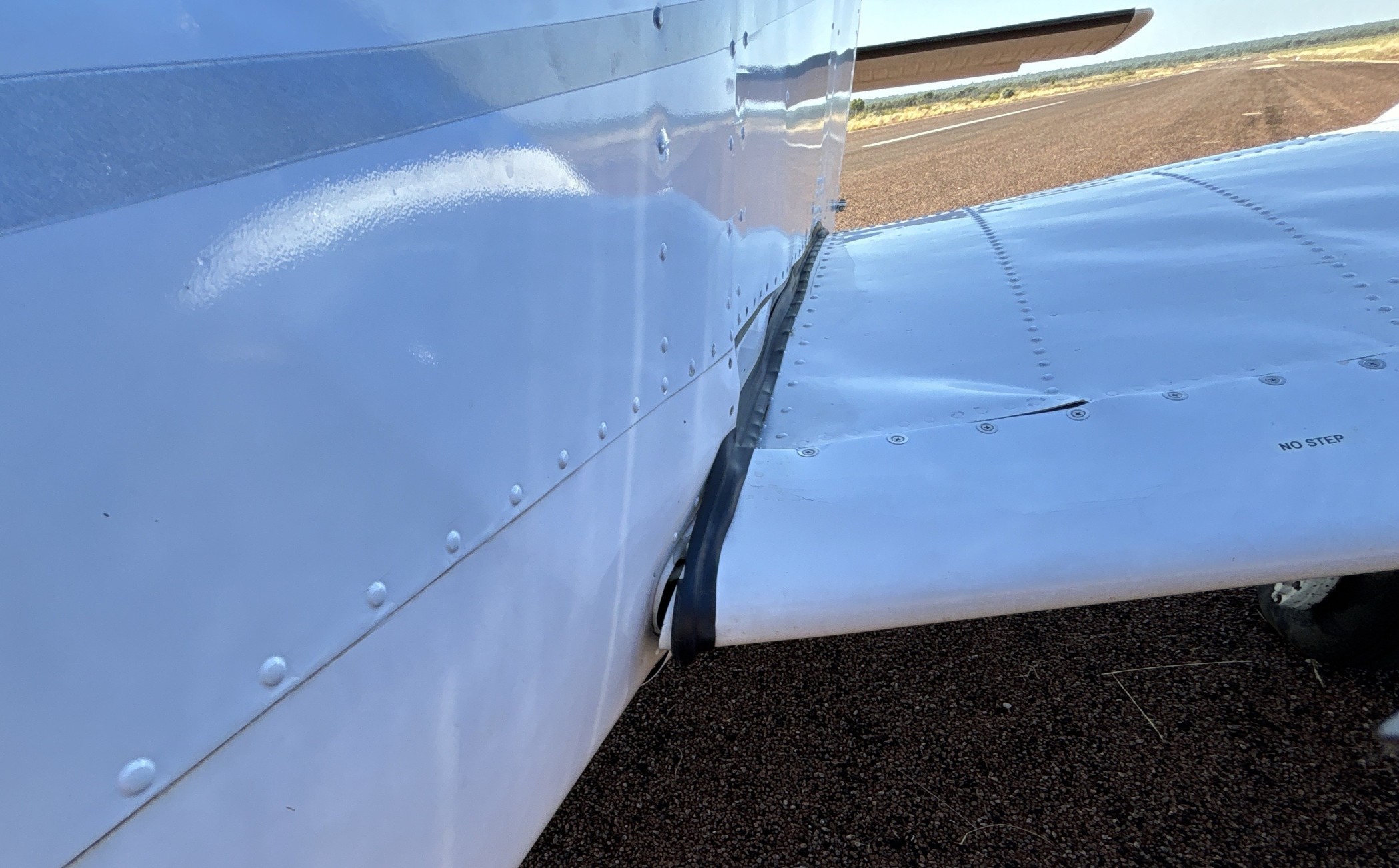 Left-wing damage