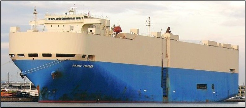 Figure 1 Grand Pioneer.jpg