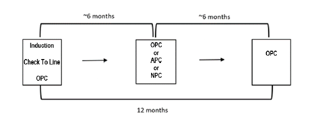 Simple diagram showing check and training requirements over 6 and 12 month periods.