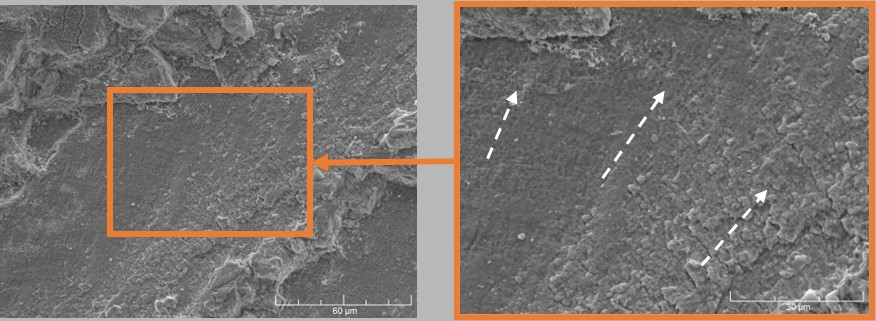 Figure 7: Microscopic fracture surface features adjacent to the fracture initiation area indicating fatigue crack growth