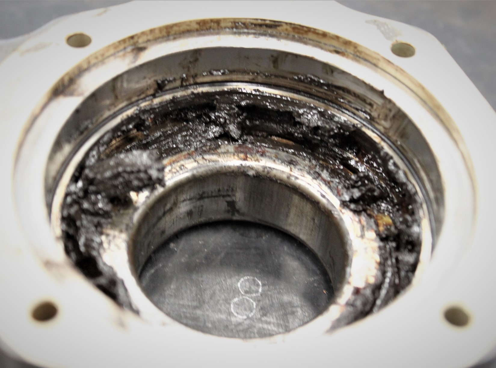 Figure 8: Grease found within the upper bearing