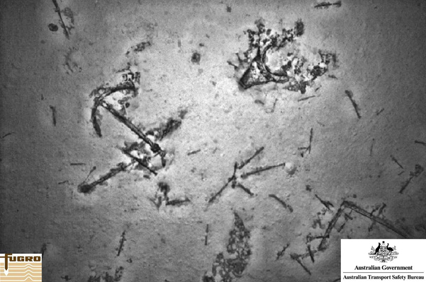 Shipwreck%20site_anchor%20and%20debris_july.jpg