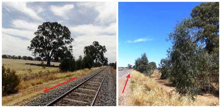 Figure 5: Lineside tree growth. Arrows show direction of train