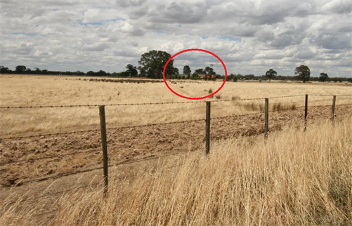 Figure 9: View of approaching train from the road 100 m back from the level crossing. Train is approximately 200 m from the crossing