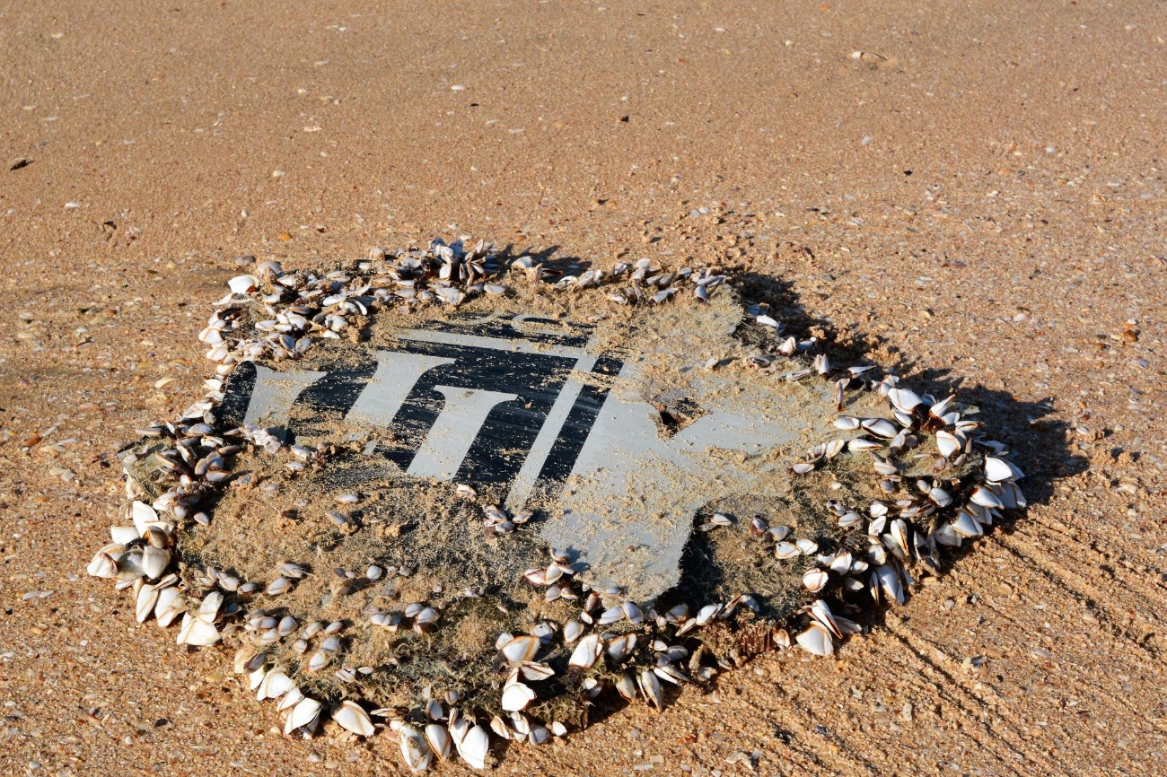 Figure 3: Photograph taken 23 Dec 2016 showing Part No. 3 significantly colonised by barnacles. Source: Schalk Lückhoff
