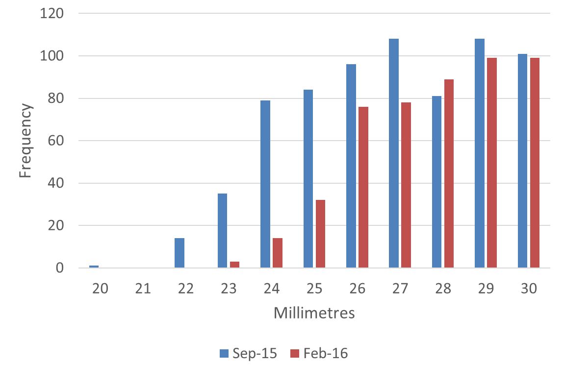 Figure 13: Wheelset rim thickness 30 tonne axle load coal fleet