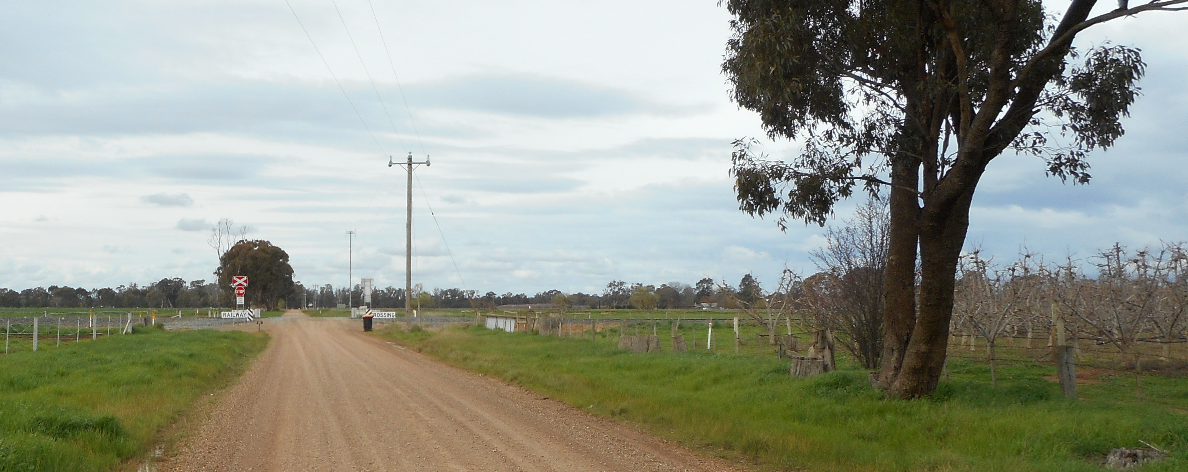 Figure 2: Pogue Road approach to the level crossing. The view to a train approaching from the right was obscured by road-side vegetation and an orchard.