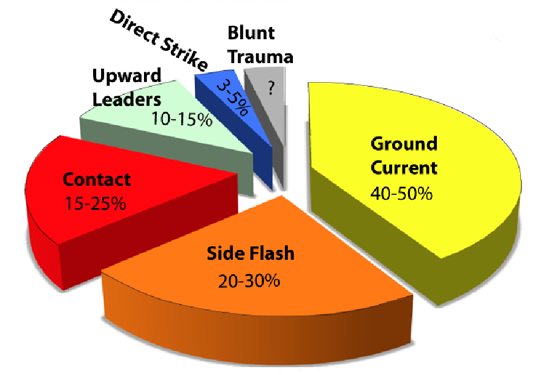 Figure 6: Pie chart of Canadian lightning strike types and annual injury percentages