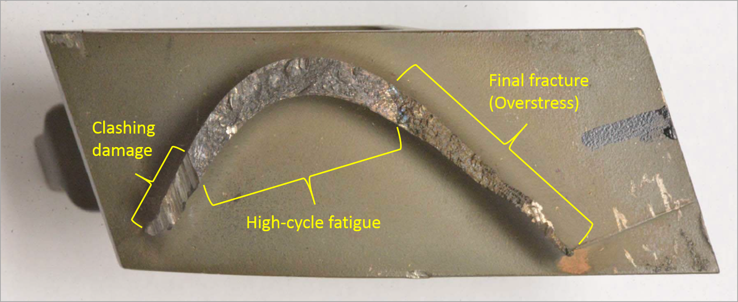 Figure 6: Blade 120 fracture surface, showing the region of high-cycle fatigue, the clashing damage and the final overstress fracture