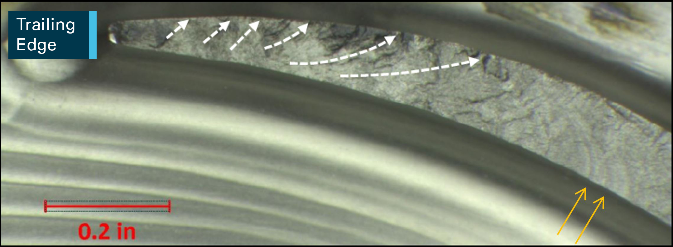 Figure 3: Magnified view of the aerofoil fracture surface. Aerofoil fracture surface showed crack progression lines from the trailing edge (white dashed arrows) along with beach marks (yellow arrows) which were indicative of a fatigue failure mechanism.Source: Pratt &amp; Whitney Canada