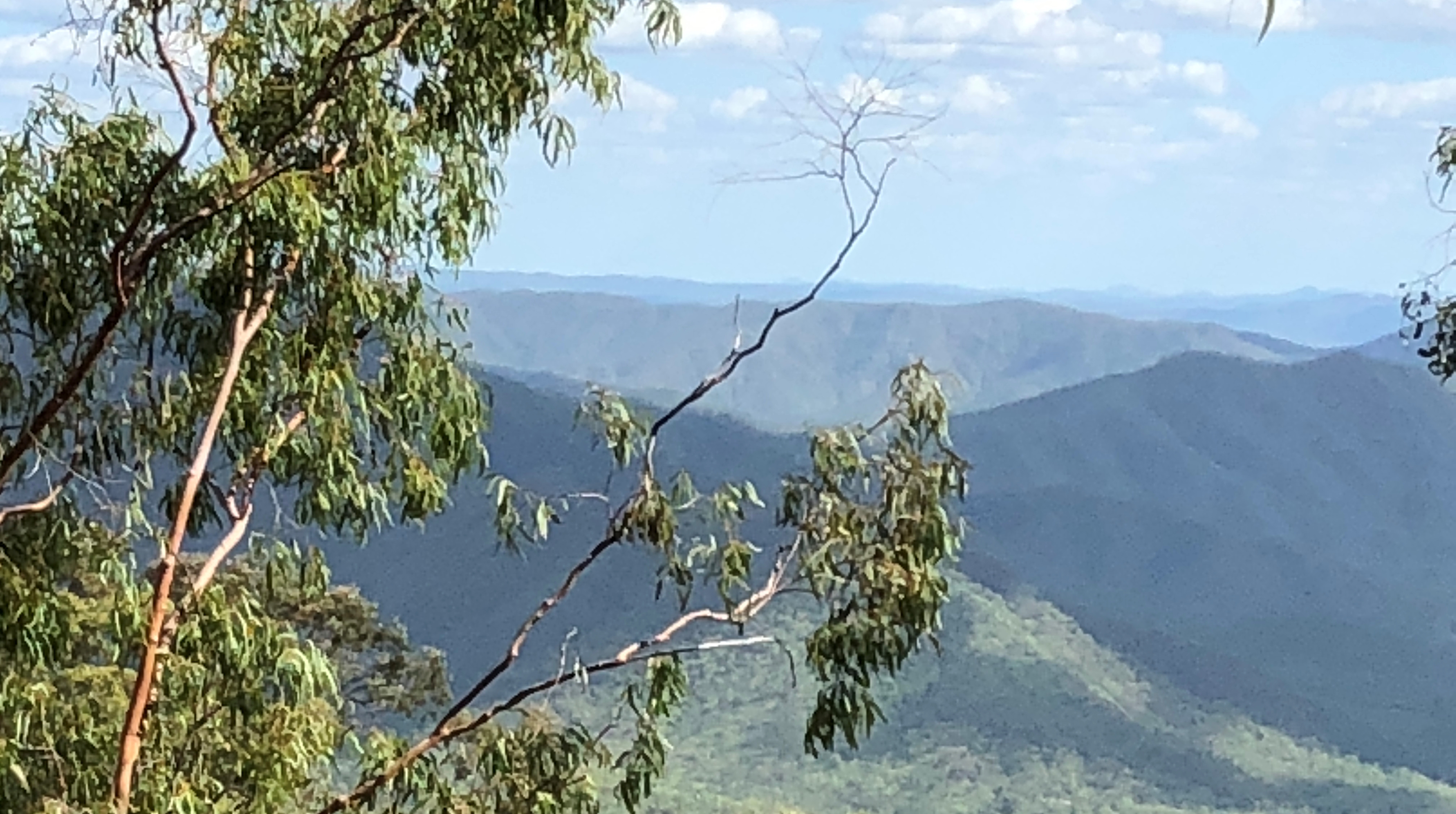 Figure 3: Image of the local terrain with a view towards the south-east. View towards the south-east, the direction of the forecast wind, at about 3,000 ft elevation. The helicopter wreckage was located further inland behind the photographer at an elevation of about 3,500 ft, with surrounding peaks of about 4,500 ft.Source: ATSB