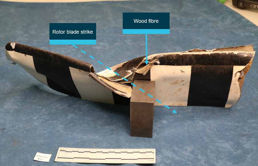Figure 8: Tail rotor blade impact damage. Tail rotor blade 1 with strike damage consistent with the leading edge of a main rotor blade.Source: ATSB