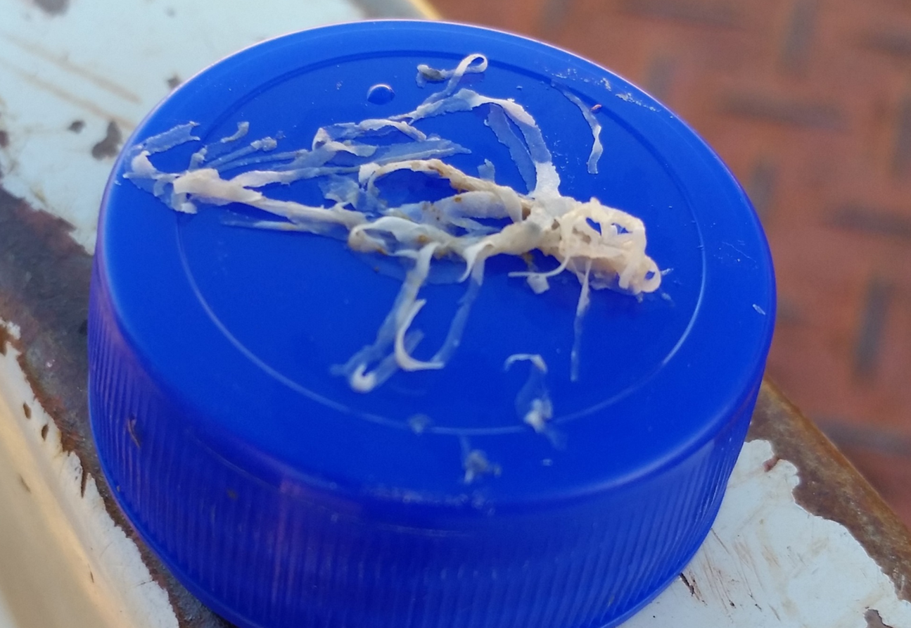 Figure 1: Contaminant removed from the drum.Source:  Operator