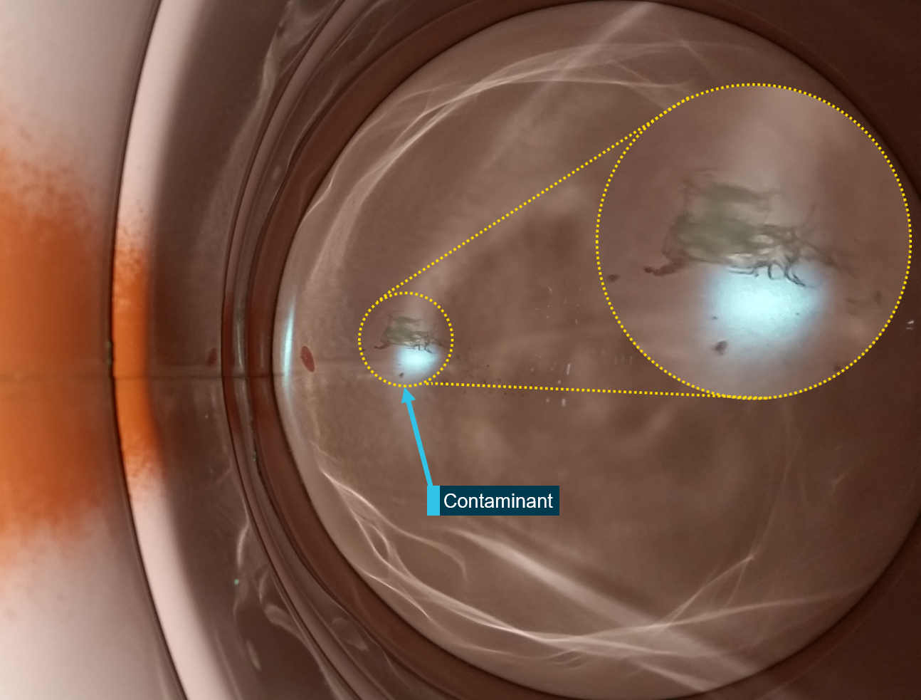 Figure 2: A large contaminant observed at the base of a drum of Jet A1 fuel.Source:  Operator, modified by ATSB