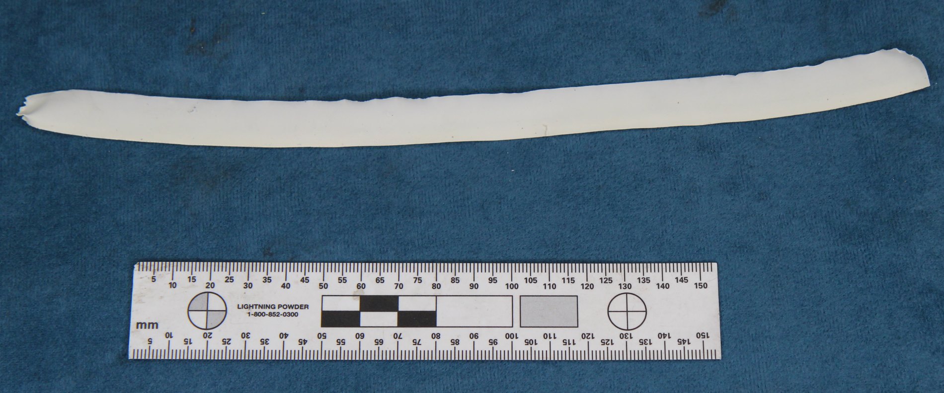 Figure 8: A section of sealant removed from a drum base.Source: ATSB