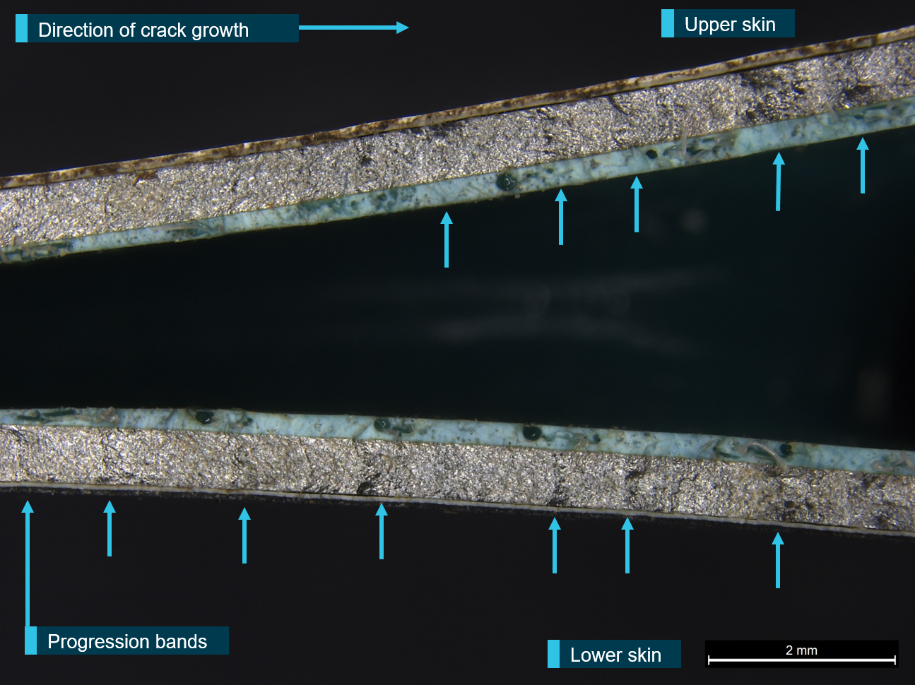 Figure 10: Progression bands (arrowed) in the mixed-mode region along the fracture surfaces of the upper and lower skins.<br />
Source: ATSB
