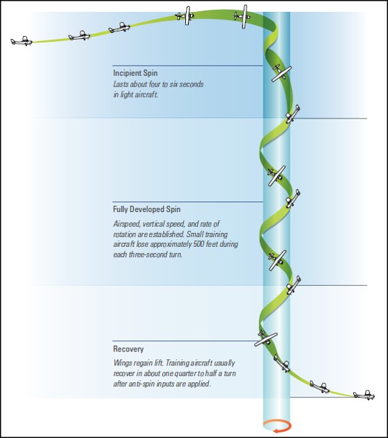 Figure 3: Spin recovery stages.Source: Civil Aviation Authority New Zealand- Spin Avoidance and Recovery –page 11.
