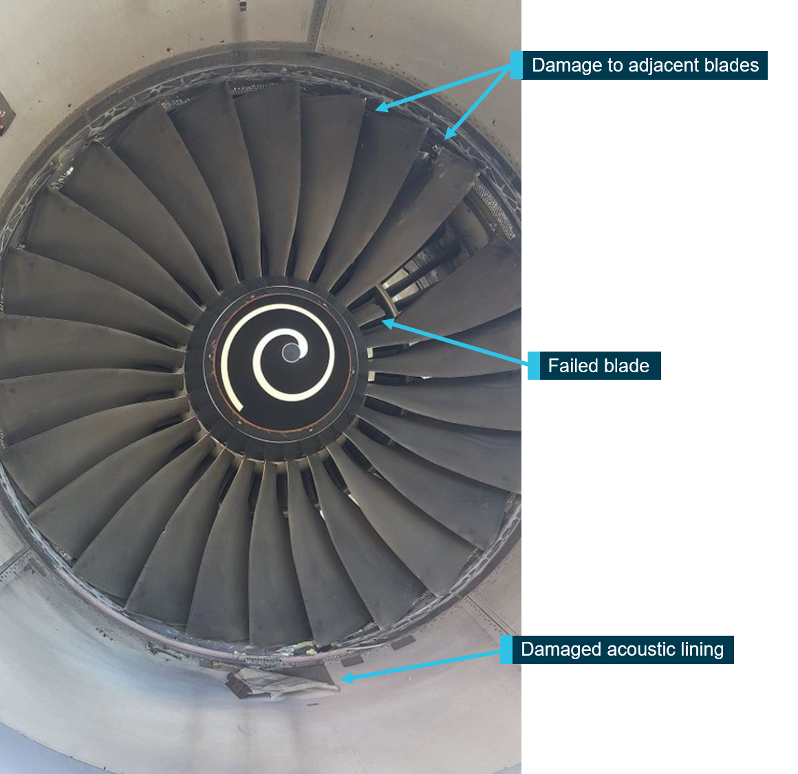 Figure&nbsp;2: Left engine failed fan blade, with adjacent damaged blades.Image source: Rolls-Royce plc