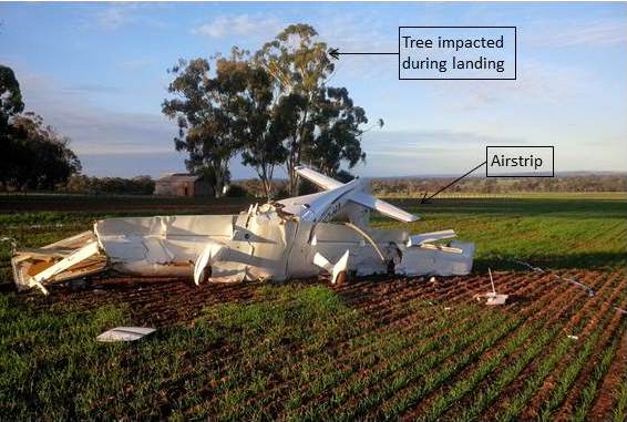 Figure 2: Aircraft wreckage showing the trees adjacent to the airstrip, one of which was struck by the aircraft (looking back along the direction of the approach).<br />
Source: ATSB